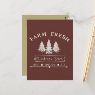 Carte Postale Arbres de Noël pin moderne frais de la ferme