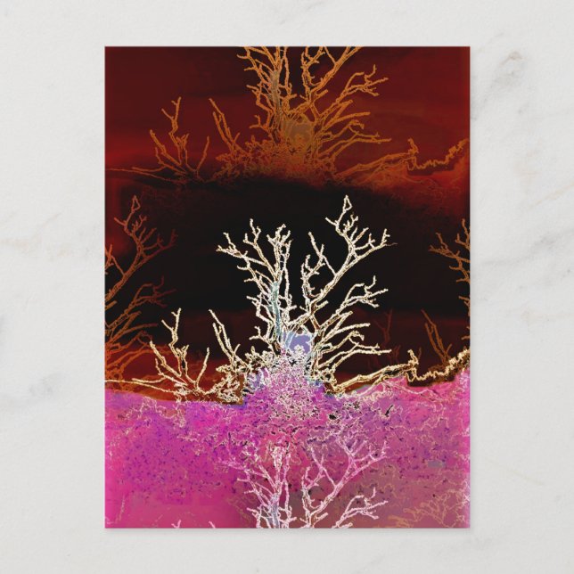 CARTE POSTALE ARBRES D'HIVER (Devant)