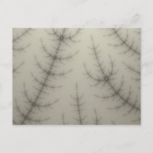 Carte Postale Arbres d'hiver fragiles