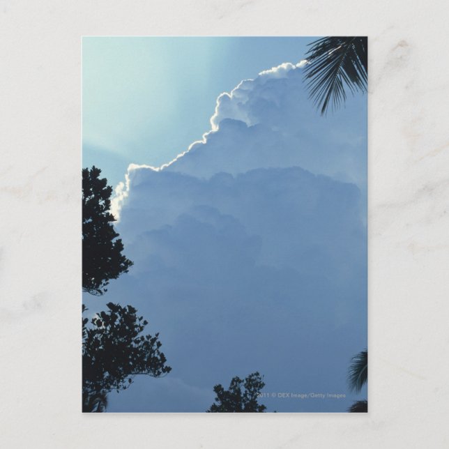 Carte Postale Arbres et nuages (Devant)