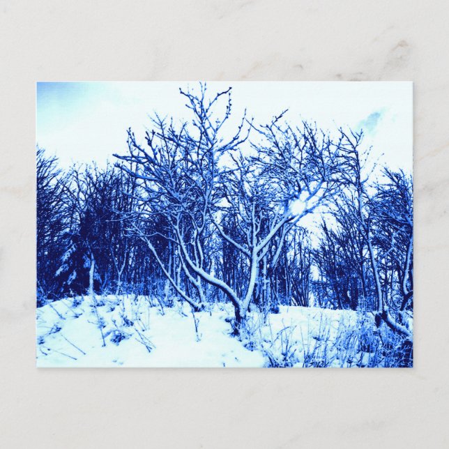 Carte Postale Arbres et scène de neige, bleu de cobalt (Devant)