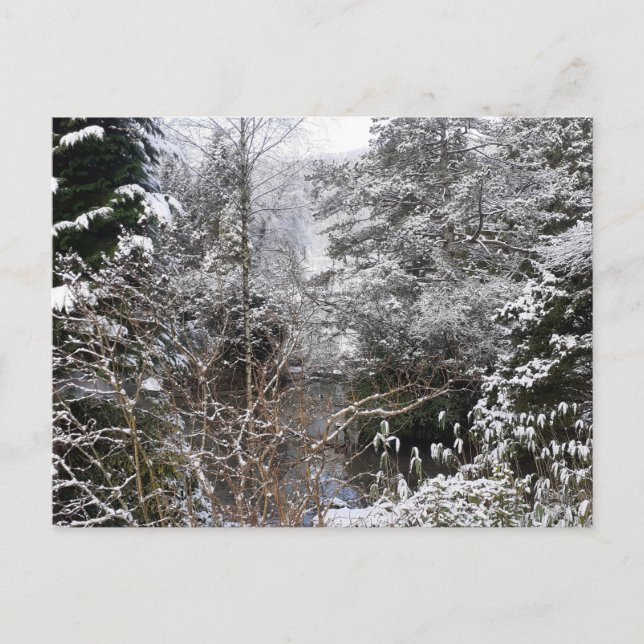 Carte Postale Arbres neigeux plats (Devant)