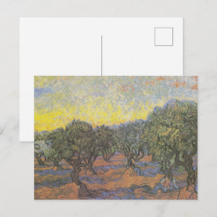 Carte Postale Arbres oliviers ciel jaune de Van Gogh
