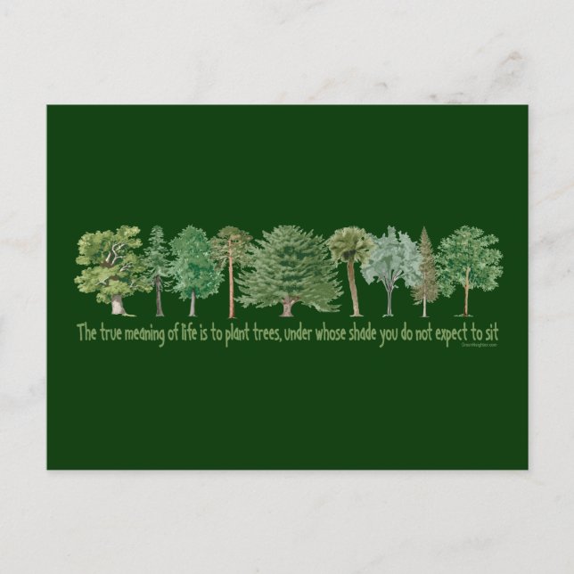 Carte Postale Arbres plantes (Devant)