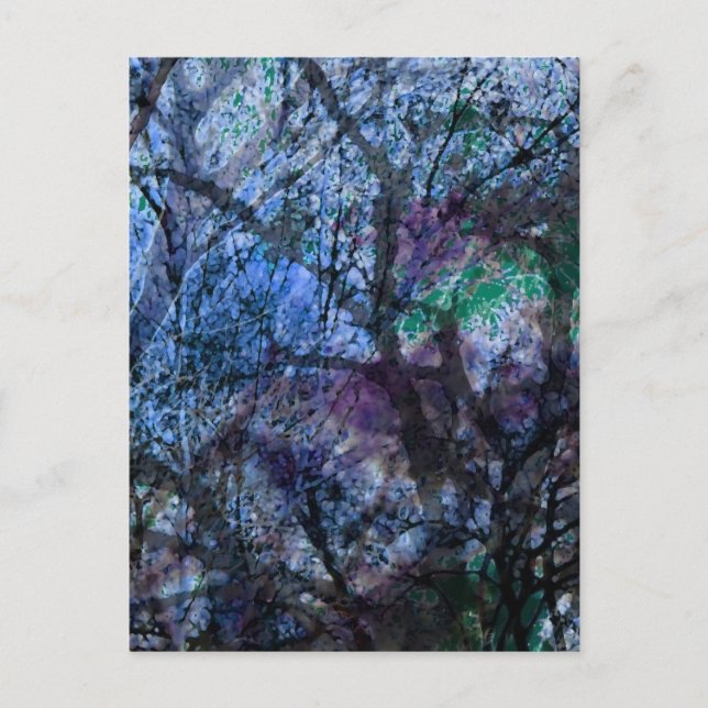 Carte Postale Arbres stratifiés au crépuscule (Devant)