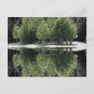 Carte Postale Arbres verts
