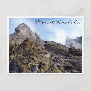 Carte Postale arbustes de Kinabalu