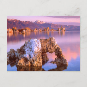 Carte Postale Arc de tufière du lac Mono