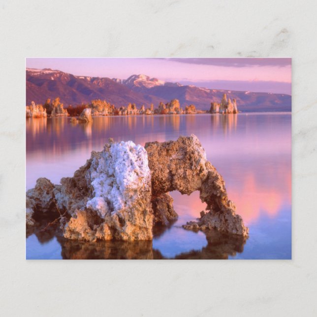 Carte Postale Arc de tufière du lac Mono (Devant)