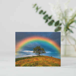 Carte Postale Arc-en-ciel brillant sur prairie de fleurs sauvage