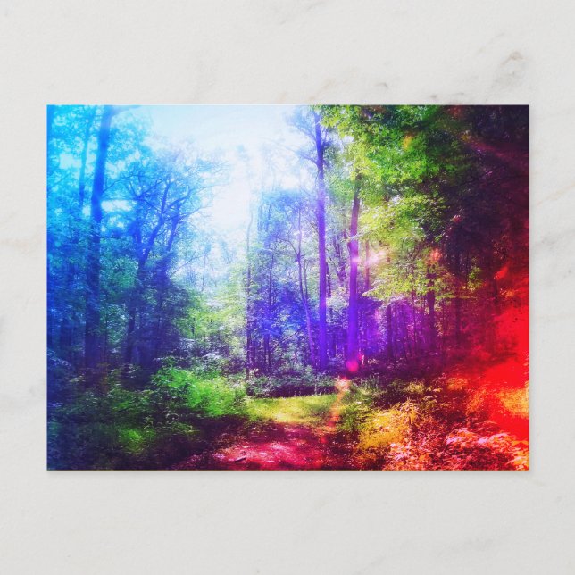CARTE POSTALE ARC-EN-CIEL DE LA FORÊT (Devant)