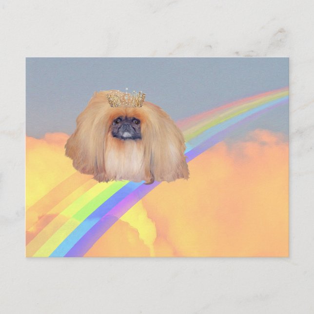 Carte Postale Arc-en-ciel Pékinois (Devant)