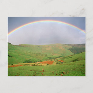 Carte Postale Arc-en-ciel sur les collines, Eastern Cape, Afriqu