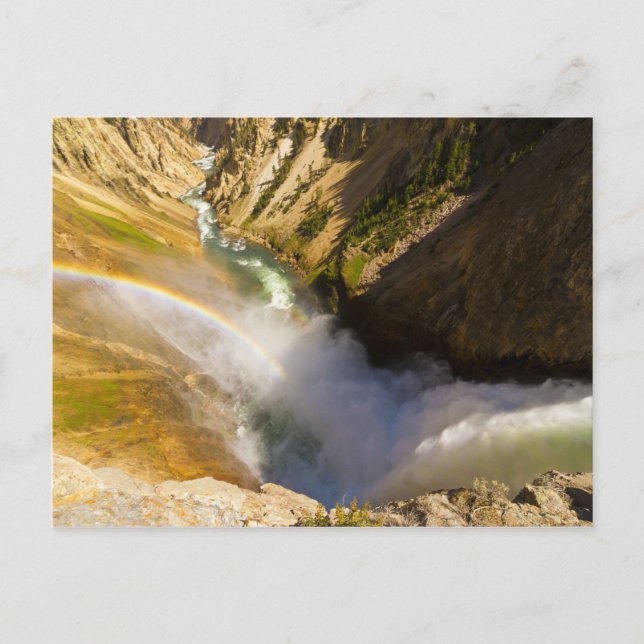 Carte Postale Arc-en-ciel sur les Lower Yellowstone Falls (Devant)