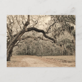 Carte postale Arch of Oakes