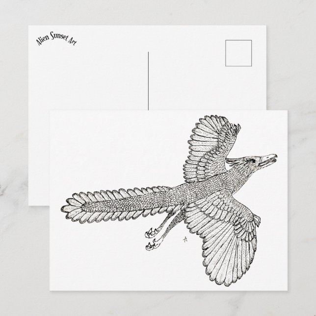 Carte Postale Archaeopteryx (Devant / Derrière)