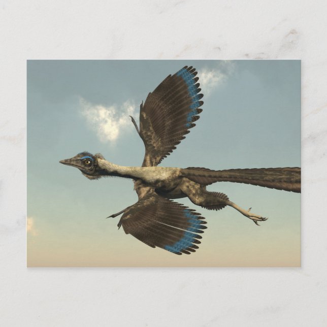 Carte Postale Archaeopteryx birds dinosaurs flying - 3D render (Devant)