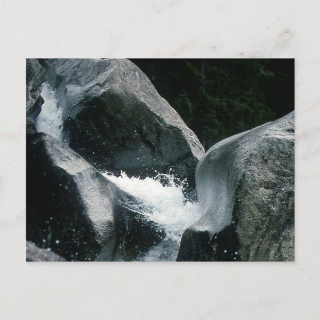 CARTE POSTALE ARCHAÏQUE TORSE D'APOLLO (Devant)