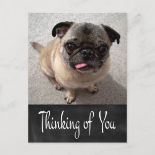 Carte postale ardoise Chien Pug chiot qui vous fai
