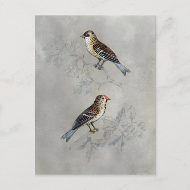 Carte Postale Argent | Deux oiseaux (Devant)