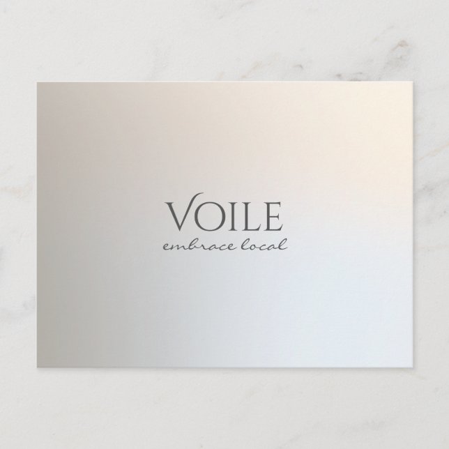 Carte Postale Argent Lumineux Professionnel Minimaliste Moderne (Devant)