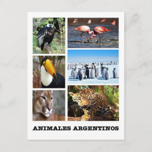 Carte Postale Argentine - Mosaico Animales Argentinos