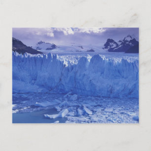 Carte Postale Argentine, Patagonie, Parc National los