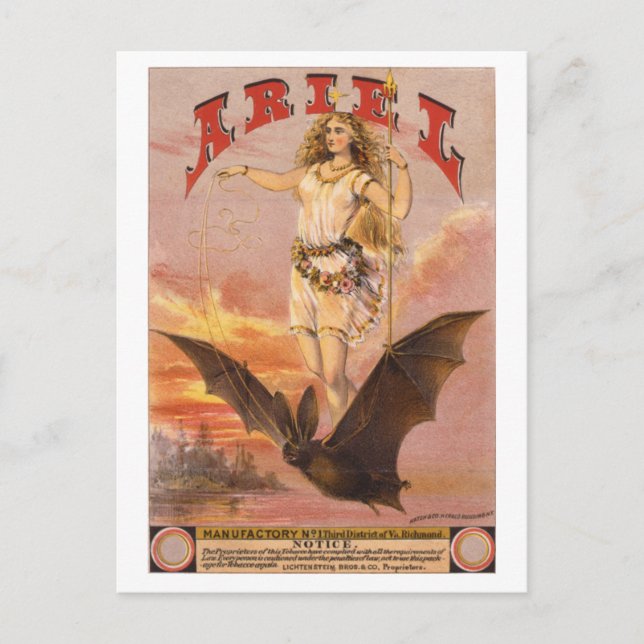 Carte Postale Ariel en chauve-souris (Devant)