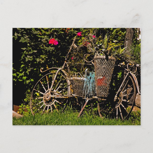 Carte Postale Arizona Antique (Devant)