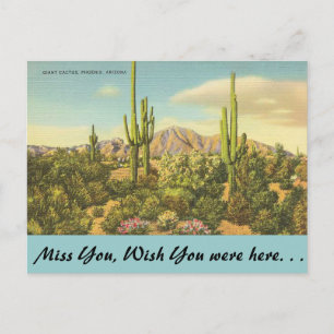 Carte Postale Arizona, Cactus géant