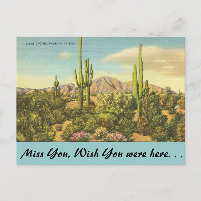 Carte Postale Arizona, Cactus géant (Devant)