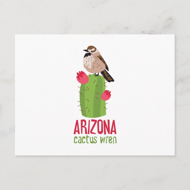 Carte Postale Arizona Cactus Wren (Devant)