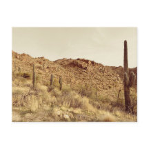 Carte postale Arizona Desert