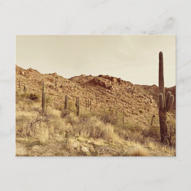Carte postale Arizona Desert (Devant)
