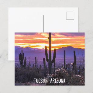 Carte Postale Arizona Désert Cactus Coucher de soleil Nature Pho