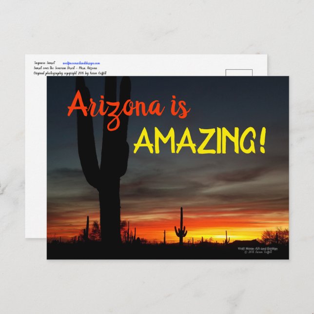 Carte Postale "Arizona is Amazing !" Cactus Sunset Sonoran (Devant / Derrière)