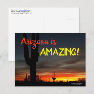Carte Postale "Arizona is Amazing !" Cactus Sunset Sonoran