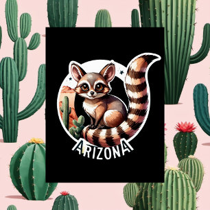 Carte Postale Arizona, Ringtail, Post-croisement