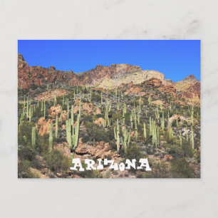 Carte postale Arizona Saguaro Cactus