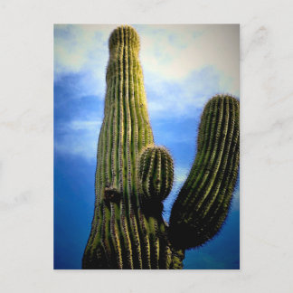 Carte Postale Arizona Saguaro Cactus High