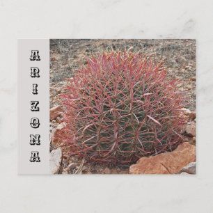Carte Postale Arizona Southwest State Travel Red Barrel Cactus