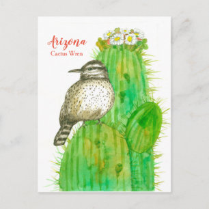 Carte Postale Arizona State Bird Cactus Wren White Blossoms