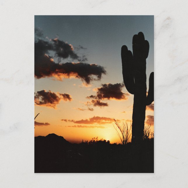 Carte Postale Arizona Sunset Picture (Devant)