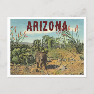 Carte Postale Arizona Vintage Desert Cactus et Javelina