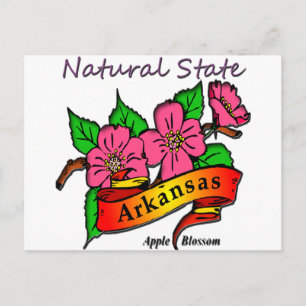 Carte Postale Arkansas Etat Naturel Apple Blossom