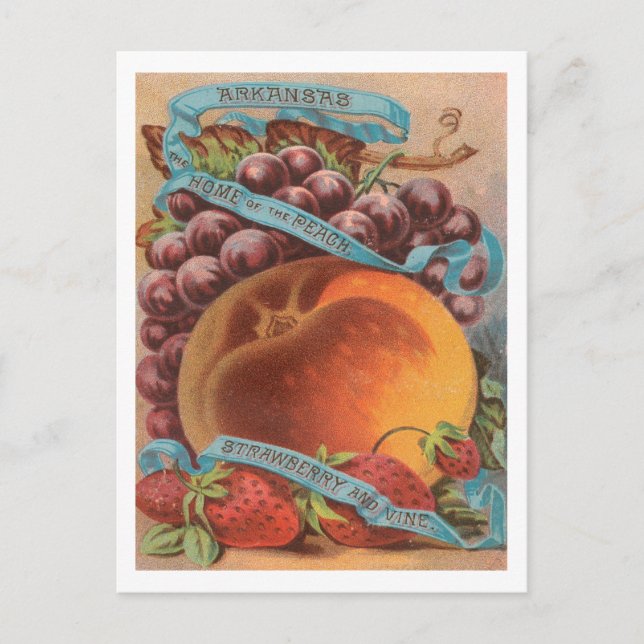 Carte Postale Arkansas fruits publicité vintage (Devant)