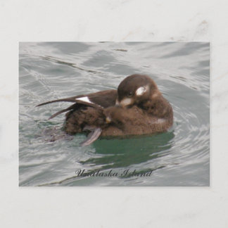 Carte Postale Arlequin femme canard à l'eau