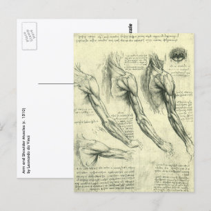 Carte Postale Arm and Shoulder Anatomy by Leonardo da Vinci