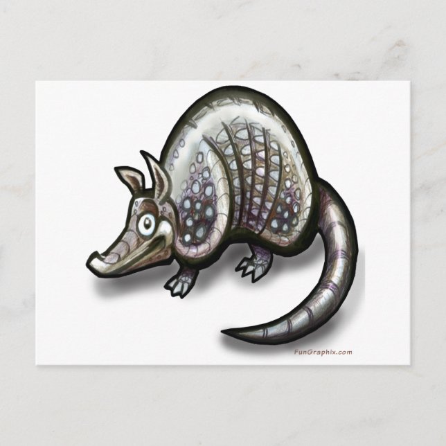 Carte Postale Armadillo (Devant)