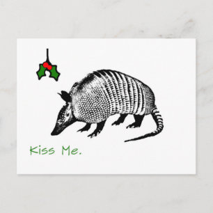 Carte Postale Armadillo Kiss Me